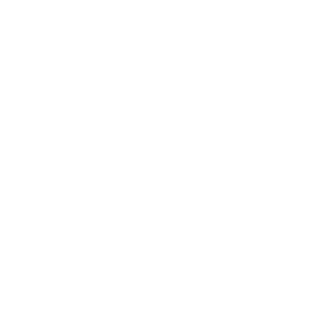 burlabeachcup