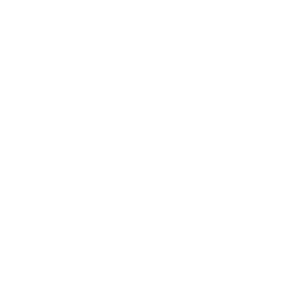 fondazione collodi