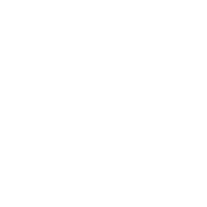 vigiani pistoni